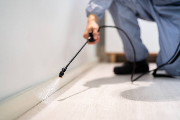 Bed Bug Pre-Treatment Preparation Assessment in Fort Carson