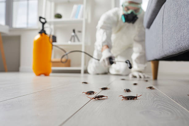 Post-Treatment Bed Bug Interceptor Monitoring in Fort Carson