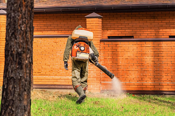 Bed Bug Clearance Verification and Documentation in Fort Carson